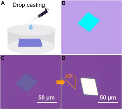Bandgap Engineering of an Aryl-Fused Tetrathianaphthalene for Visible-Blind Organic Field-Effect Transistors